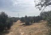 Edificio Industrial en venta con 156m² en Antequera, diseminado poligono 169, 29, 29540 foto