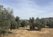 Edificio Industrial en venta con 156m² en Antequera, diseminado poligono 169, 29, 29540 foto