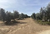 Edificio Industrial en venta con 156m² en Antequera, diseminado poligono 169, 29, 29540 foto