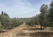 Edificio Industrial en venta con 156m² en Antequera, diseminado poligono 169, 29, 29540 foto