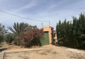 Edificio Industrial en venta con 156m² en Antequera, diseminado poligono 169, 29, 29540 foto
