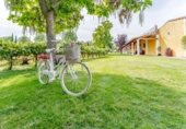 Bar en venta con 1950m² en Laguna de Duero, Camino Carralblanco foto
