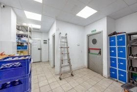 Foto 15
