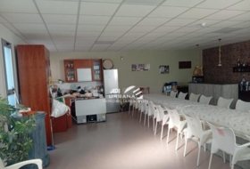 Foto 6