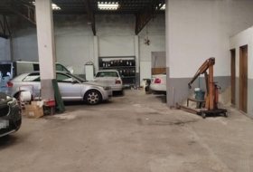 Foto 7