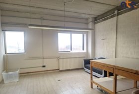 Foto 15