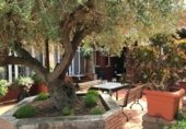 Restaurante en venta con 658m² en Roda de Berà, Avinguda de la Platja foto