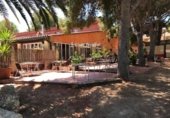 Restaurante en venta con 658m² en Roda de Berà, Avinguda de la Platja foto