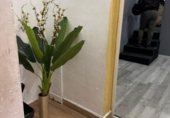 400m² warehouse industrial for sale in Torrevieja, photo