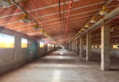 1569m² entrepôt pour vente à Alcublas, photo