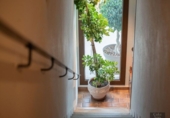 558m² hôtel pour vente à Deltèbre, photo
