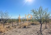 Nave Industrial en venta con 150m² en Huércal-Overa foto