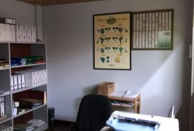 Foto 19