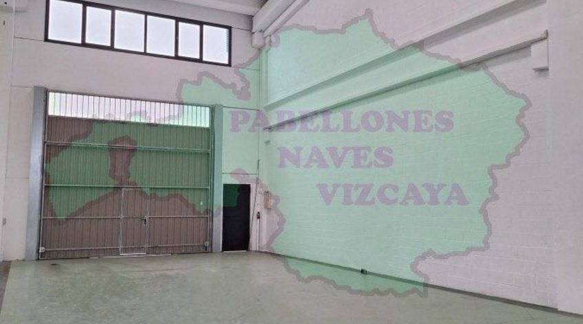 Nave