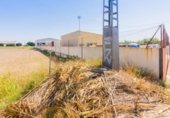 Nave Industrial en venta con 600m² en Callosa de Segura foto