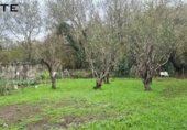 Nave Industrial en venta con 650m² en Munguía, Grupo Garraketa foto
