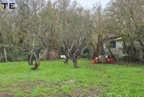 Foto 11