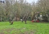 Nave Industrial en venta con 650m² en Munguía, Grupo Garraketa foto