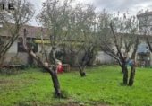 Nave Industrial en venta con 650m² en Munguía, Grupo Garraketa foto