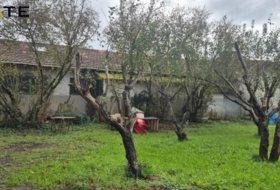 Foto 13