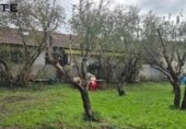 Nave Industrial en venta con 650m² en Munguía, Grupo Garraketa foto