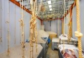 Edifici Industrial
en venda
amb 560m² a Íllora, Calle de la Cruz foto
