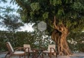 Restaurante en venta con 311m² en Jávea, Carretera Jesús Pobre foto