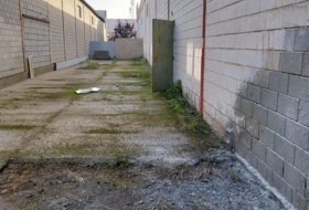 Foto 15