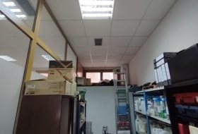 Foto 9