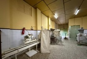 Foto 14