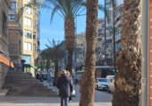 Local comercial
en venda
amb 19m² a Alacant foto