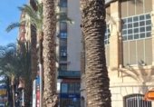 Local comercial
en venda
amb 19m² a Alacant foto