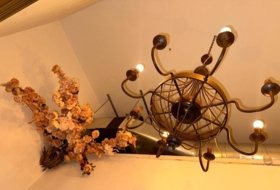 Foto 15
