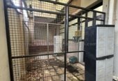 250m² commercial premises for rent in Logroño photo