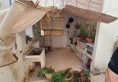 296m² bâtiment pour vente à Torrevieja, photo