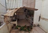 296m² bâtiment pour vente à Torrevieja, photo