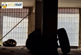 Foto 15