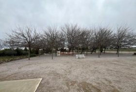 Foto 11