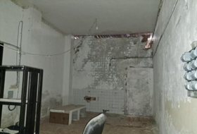 Foto 11