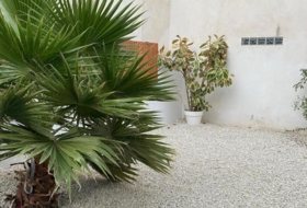 Foto 19