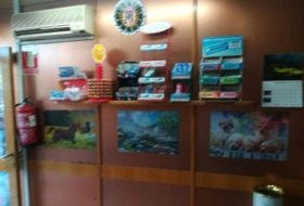 Foto 5