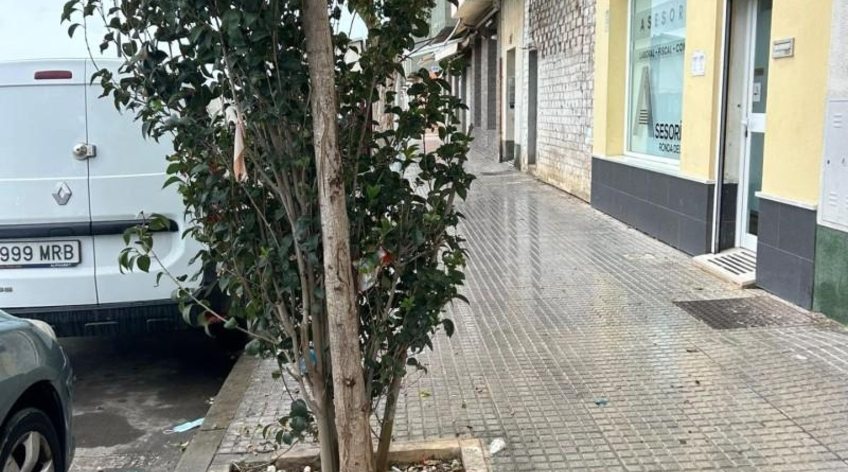 Local comercial