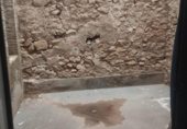 Oficines
en venda
amb 88m² a Alacant foto