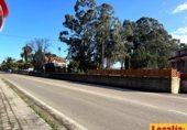 Oficines
en lloguer
amb 209m² a Viveda, Barrio los Términos, 49 foto