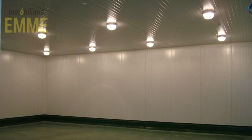Nave
