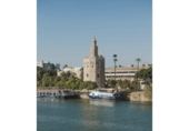 22000m² building for sale in Seville, photo
