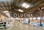 13000m² warehouse industrial for sale in Onda, photo