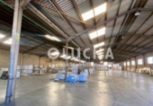 13000m² warehouse industrial for sale in Onda, photo