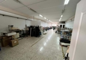 300m² warehouse industrial for sale in Elche, photo