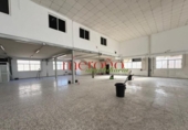 800m² warehouse industrial for sale in Elche, photo